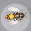 bee wing 3d max