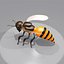 bee wing 3d max