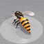 bee wing 3d max