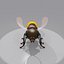 bee wing 3d max