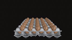 Egg 3D