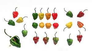 HABANERO FIESTA 3D