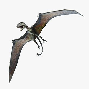 dimorphodon 3D model