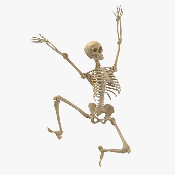 Anatomy 3D Models for Download Biology Diagrams