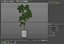 Planta 1272