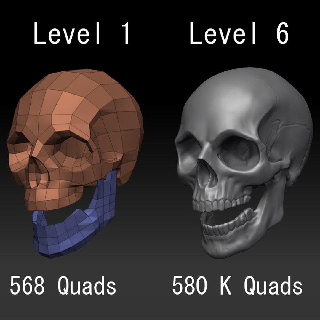 c4d male skeleton https://p.turbosquid.com/ts-thumb/cA/f02u5f/FnEF8fys/skulls/jpg/1293446304/1920x1080/fit_q87/96d9ff7a812bf17e186bbce9655b73eda0f705a8/skulls.jpg