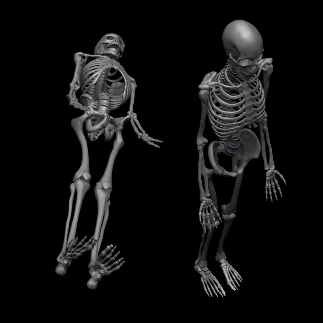 c4d male skeleton https://p.turbosquid.com/ts-thumb/cA/f02u5f/iI33Fkjc/skeleton6/jpg/1288889643/1920x1080/fit_q87/210cbc600ea16fb7246ef02e4817fc31b959c0a6/skeleton6.jpg