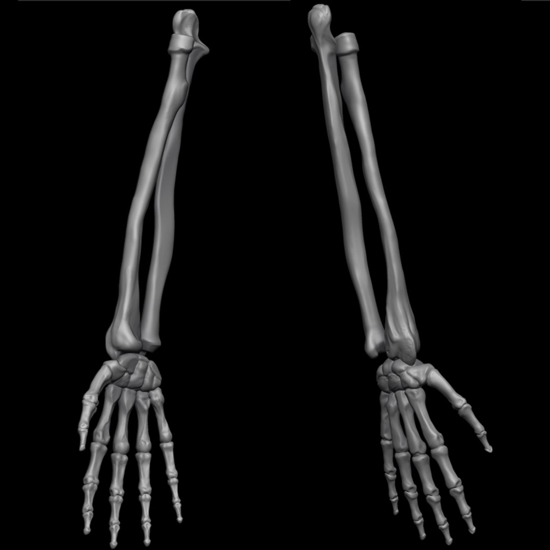 c4d male skeleton https://p.turbosquid.com/ts-thumb/cA/f02u5f/mWEUm9zn/skeleton4/jpg/1288889643/1920x1080/fit_q87/e9df8f99deb9fe479cc99ffae529e220342ec037/skeleton4.jpg