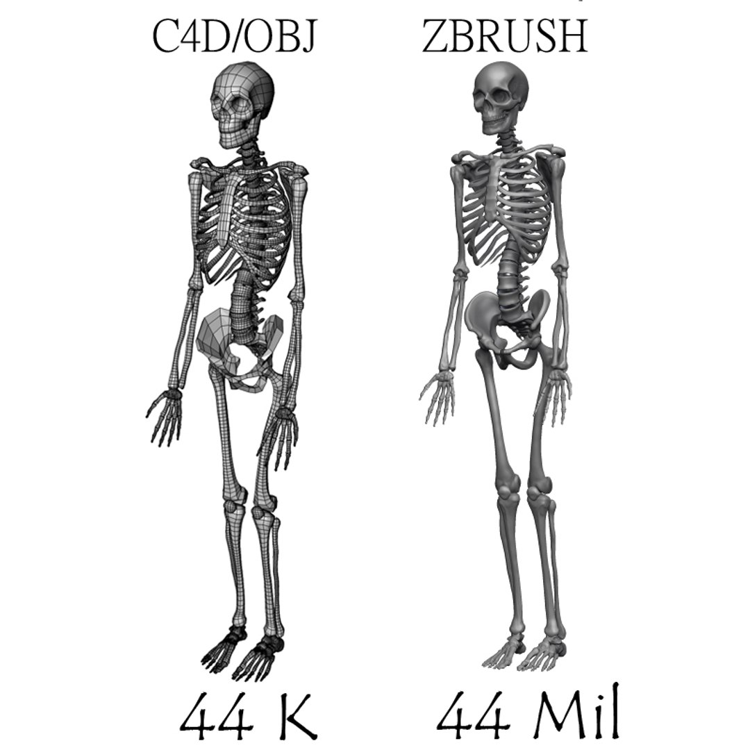 c4d male skeleton https://p.turbosquid.com/ts-thumb/cA/f02u5f/xmcQgrrw/skeleton8/jpg/1294787446/1920x1080/fit_q87/4cfebd3f0c7cb771ca8016185012851f79e5b47d/skeleton8.jpg