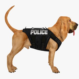 maya bloodhound tawny tan police