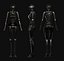 Woman Robot