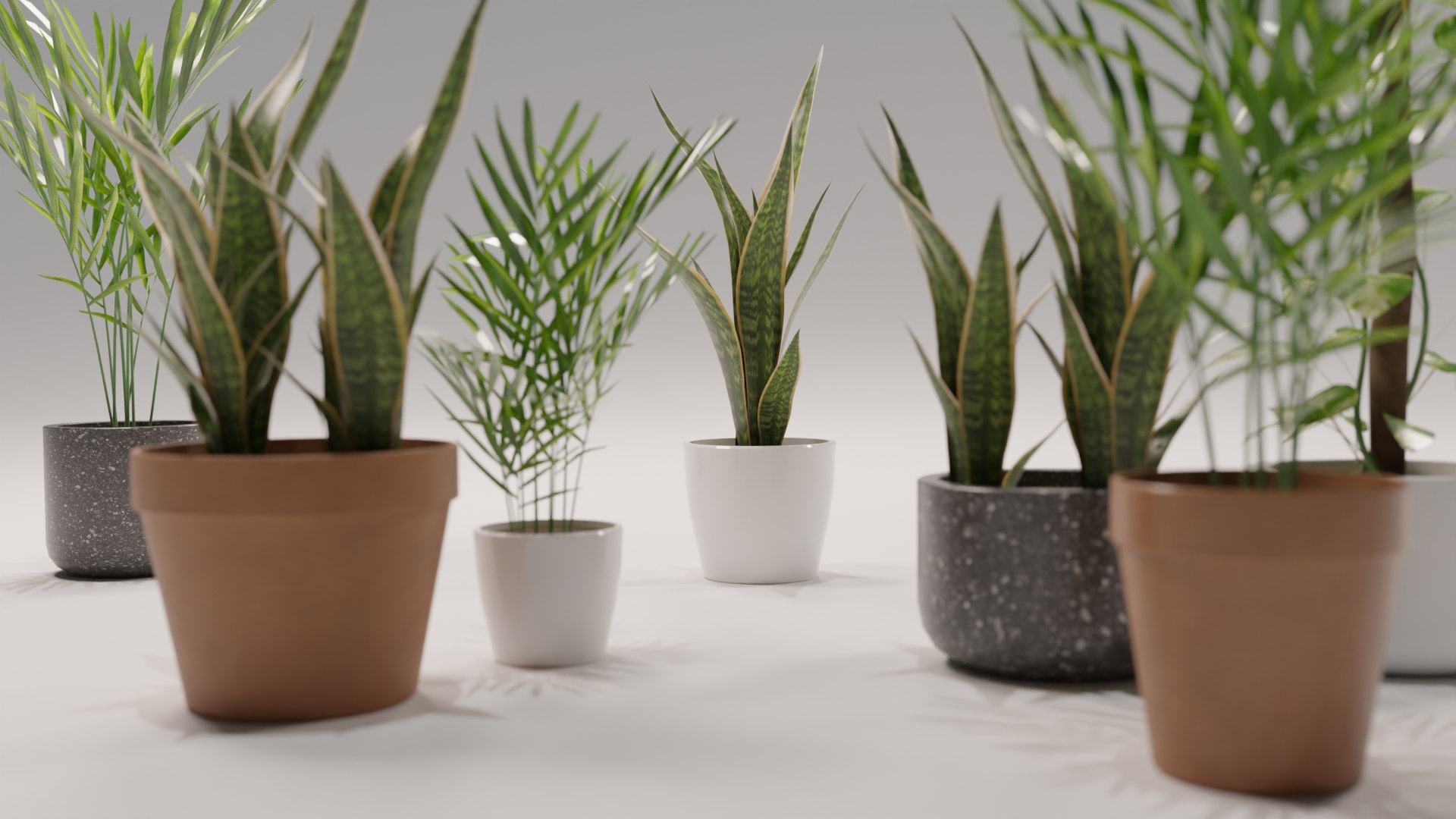 3D model Shapespark low poly interior plants kit https://p.turbosquid.com/ts-thumb/cB/6ShsZN/17/05/png/1653378419/1920x1080/fit_q87/f395655e9aa45e4de1e6cca013aa89337b767c65/05.jpg
