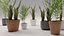 Kit de plantas de interior de polietileno bajo Shapespark