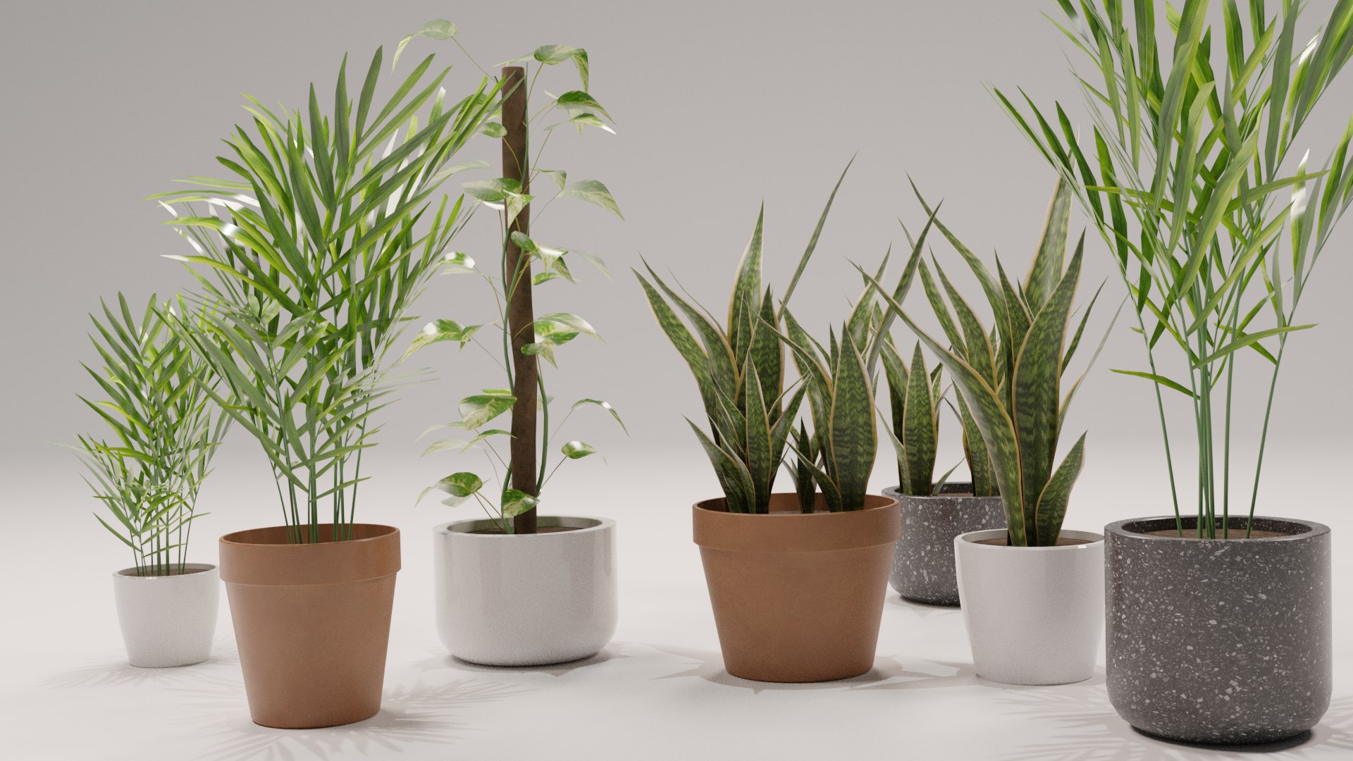 3D model Shapespark low poly interior plants kit https://p.turbosquid.com/ts-thumb/cB/6ShsZN/F9/01/png/1653378423/1920x1080/fit_q87/dadf0c3ee9a27de6b29eebd8a7b1d6bc35f8d438/01.jpg