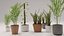 Kit de plantas de interior de polietileno bajo Shapespark
