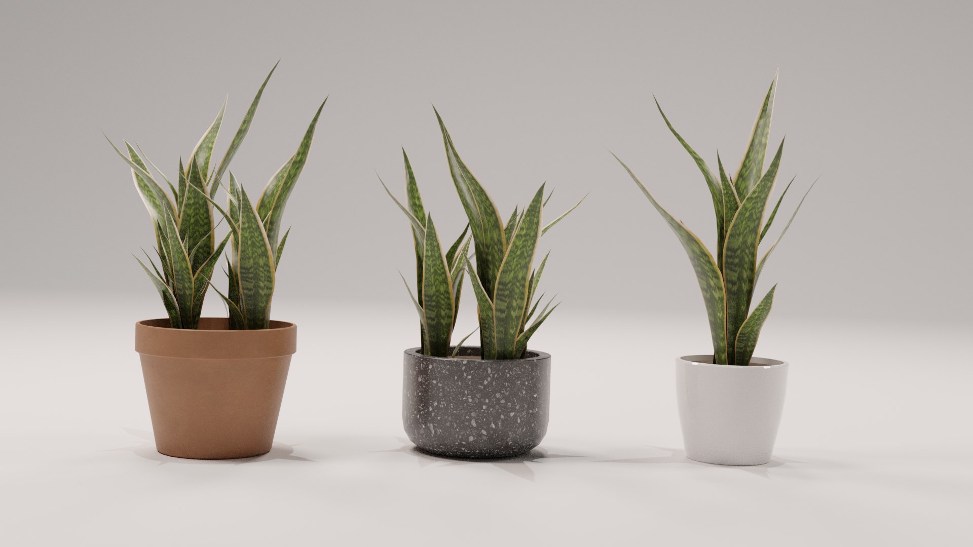 3D model Shapespark low poly interior plants kit https://p.turbosquid.com/ts-thumb/cB/6ShsZN/Z8/02/png/1653378419/1920x1080/fit_q87/811a4b70d2f3812a6928e1a16e9821d20994bc29/02.jpg