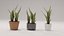 Kit de plantas de interior de polietileno bajo Shapespark