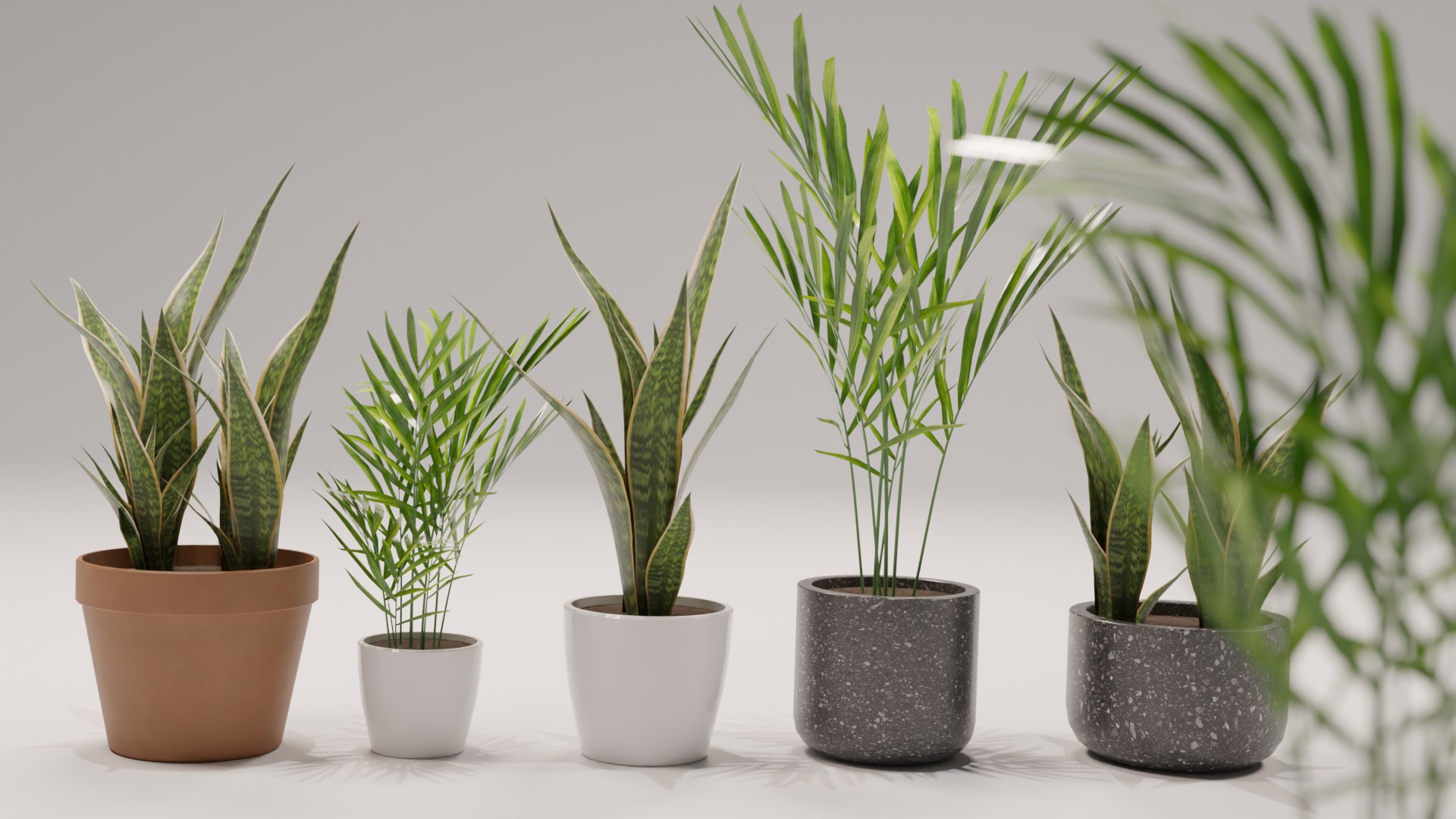 3D model Shapespark low poly interior plants kit https://p.turbosquid.com/ts-thumb/cB/6ShsZN/i4/04/png/1653378419/1920x1080/fit_q87/11432a576d568fc977810d9fb02f921b54be93c7/04.jpg