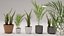 Kit de plantas de interior de polietileno bajo Shapespark