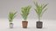 Kit de plantas de interior de polietileno bajo Shapespark