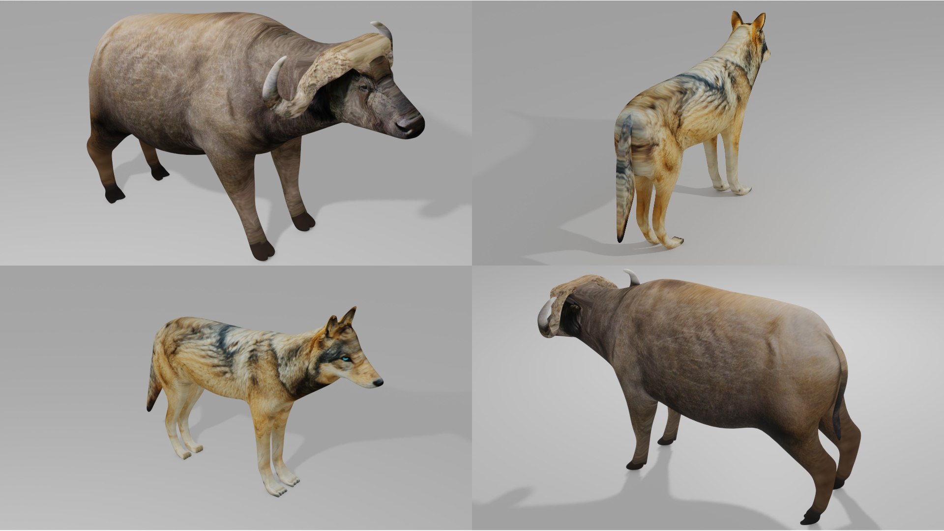 3D model 2xPack Buffalo and Wolf https://p.turbosquid.com/ts-thumb/cB/iy9jfY/PB/bw/jpg/1759607850/1920x1080/fit_q87/2cc5bc8df089e81f1a6887d176a7c587c93db473/bw.jpg