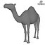 Camello Low Poly