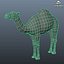 Camello Low Poly