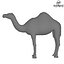 Camello Low Poly