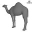 Camello Low Poly