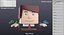 Mr Float Emote