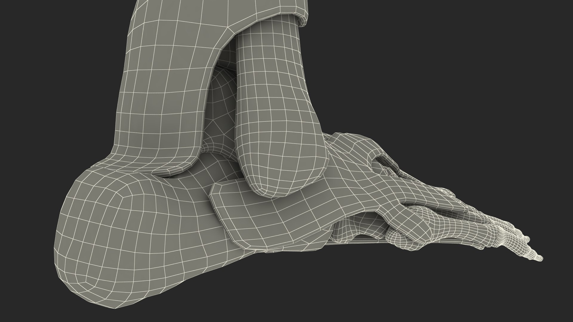 Anatomical Foot Skeleton Model With Ligament Overlay 3D Model ...