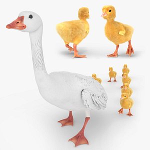 3D Goose Leading Baby Ducklings Group Fur Animated Rigged For Blender