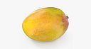 Yellow Mango Fruit