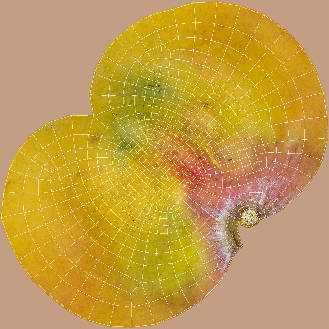 yellow mango fruit 3D model https://p.turbosquid.com/ts-thumb/cC/Eg36wM/o2wb794q/yellowmangofruitc4dmodel010/jpg/1494908990/1920x1080/fit_q87/3389f4d6a3d10e24d0436a6fd2ddc6ceb1d5001a/yellowmangofruitc4dmodel010.jpg