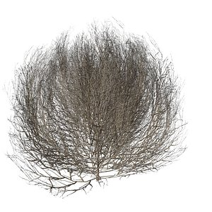 tumbleweed gaming pbr model