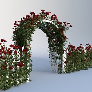 Roses & fences set