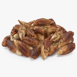 3D Date Palm Seeds