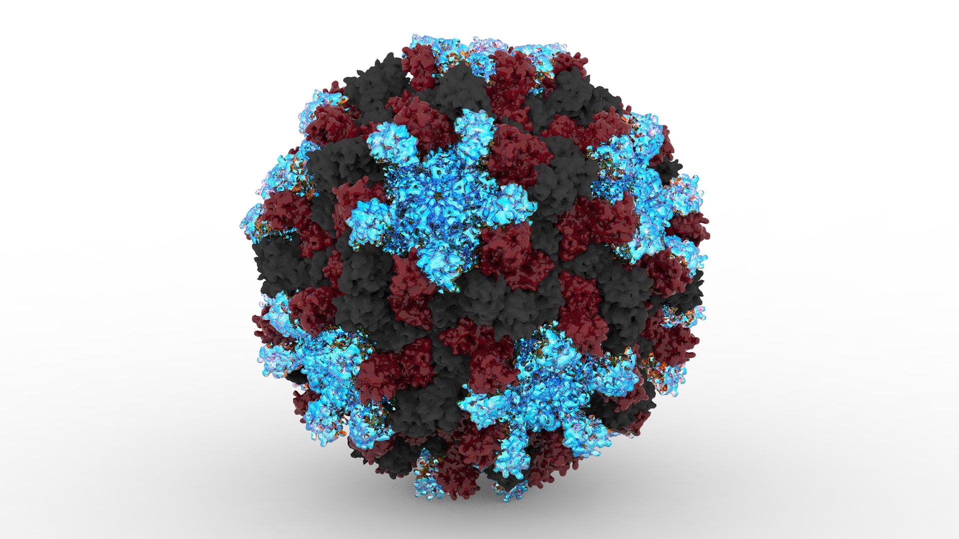 Coronavirus Virus 3D Model - TurboSquid 1525298