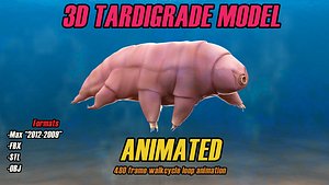 Tardigrade Model 3D Animated Water Bear