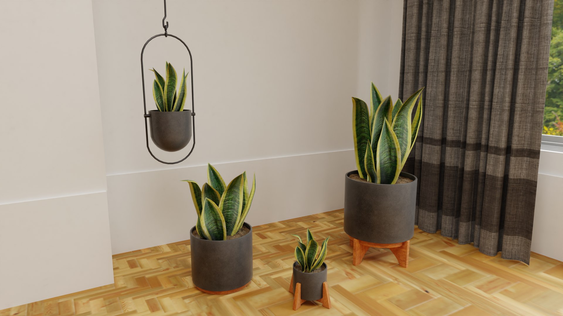 Snake Plants Collection  Plants Vol 01 3D model https://p.turbosquid.com/ts-thumb/cC/hONkB2/Ae/9/png/1654602184/1920x1080/fit_q87/738b288b5e1eab6580b1fc6a0a097da94865eee1/9.jpg