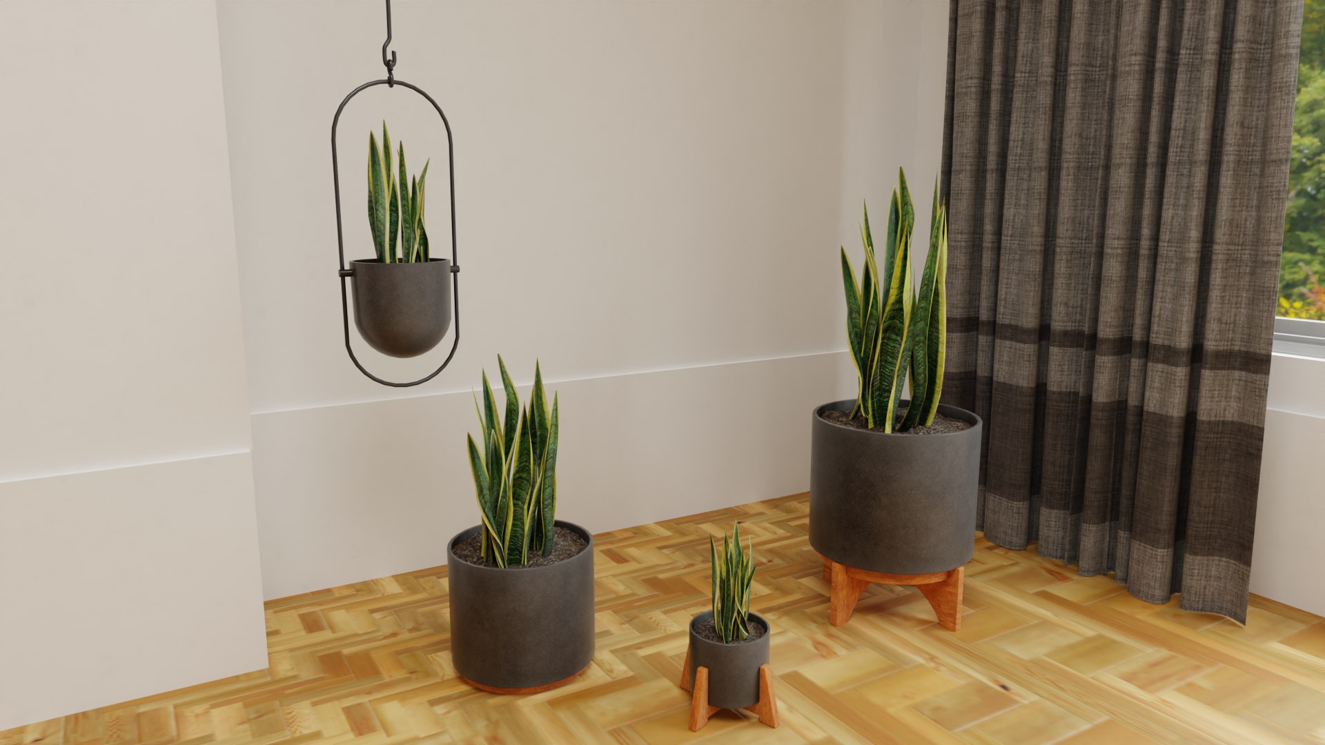 Snake Plants Collection  Plants Vol 01 3D model https://p.turbosquid.com/ts-thumb/cC/hONkB2/Hd/20/png/1654602189/1920x1080/fit_q87/fbfd6bdc1b1bd12e837a8b9ebc5d1f76fc7e57d5/20.jpg