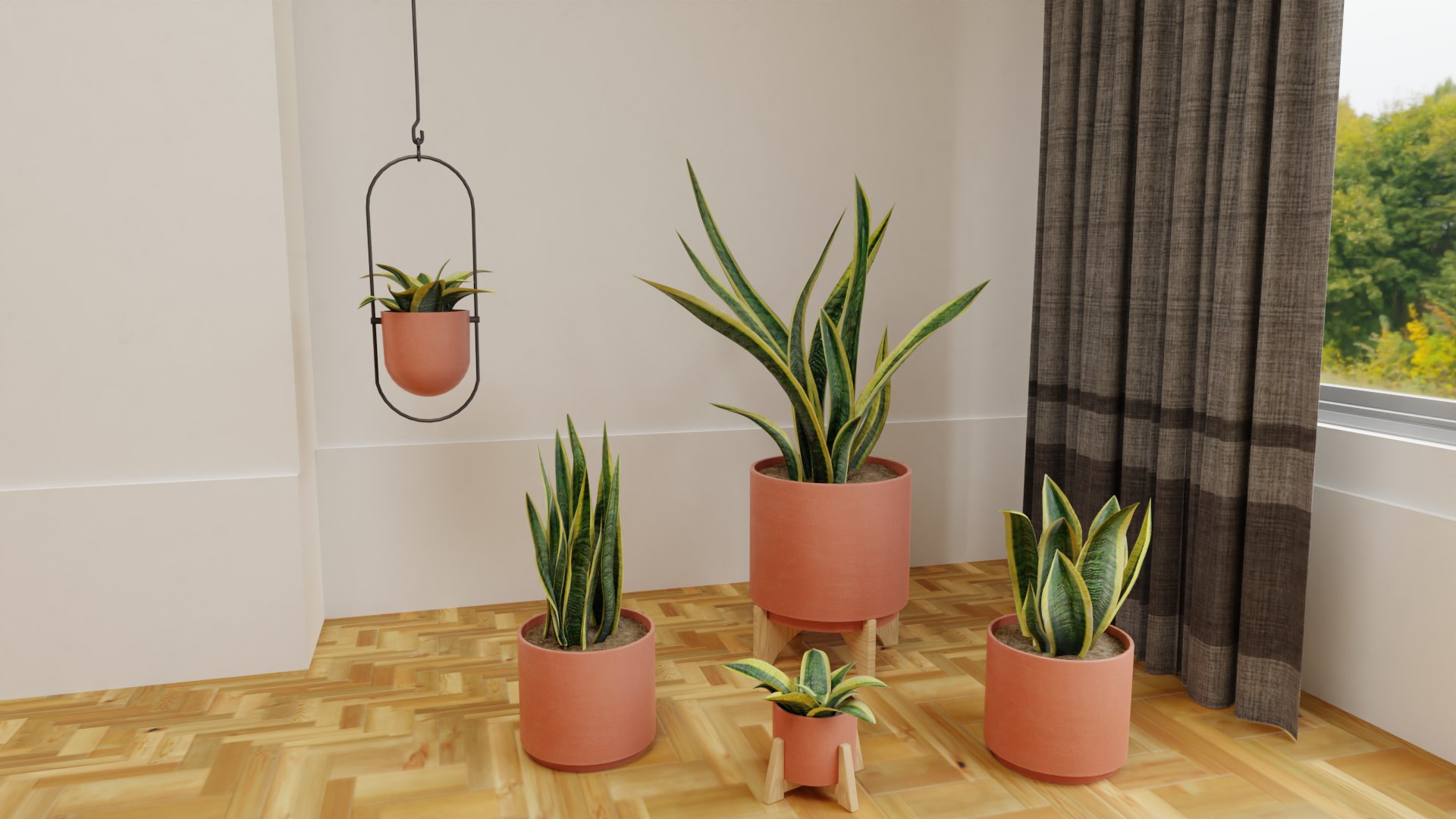 Snake Plants Collection  Plants Vol 01 3D model https://p.turbosquid.com/ts-thumb/cC/hONkB2/ND/3/png/1654602186/1920x1080/fit_q87/e1e7301ccb875f4d9c15a571b0e22a28130fab15/3.jpg