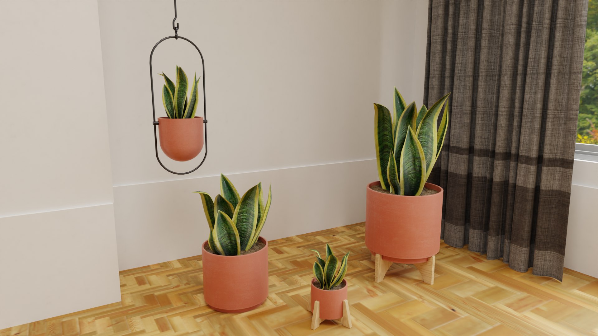 Snake Plants Collection  Plants Vol 01 3D model https://p.turbosquid.com/ts-thumb/cC/hONkB2/Zd/10/png/1654602185/1920x1080/fit_q87/aabe149399d574d0b8c832184e978b5cecf1a196/10.jpg