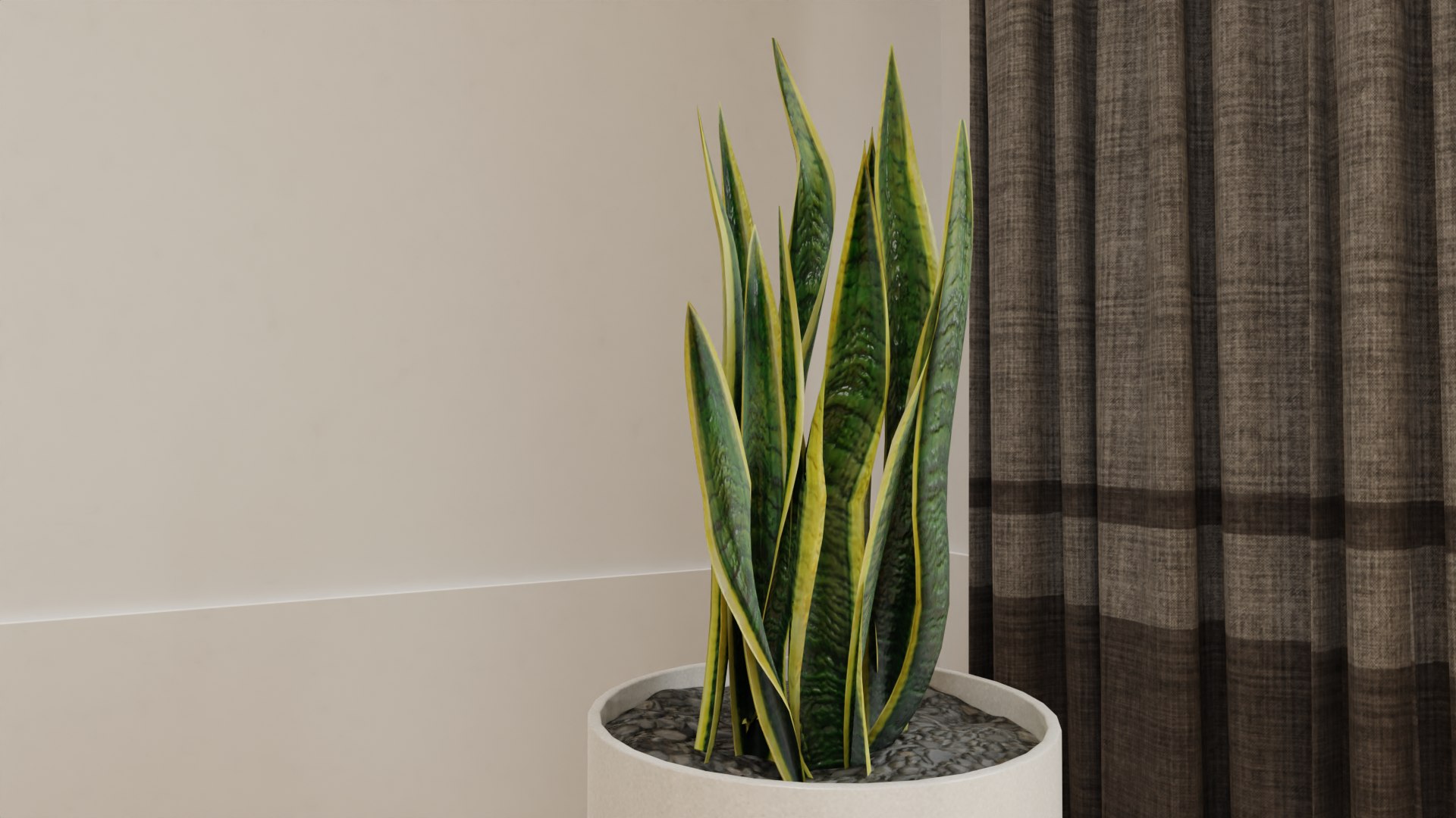 Snake Plants Collection  Plants Vol 01 3D model https://p.turbosquid.com/ts-thumb/cC/hONkB2/iO/14/png/1654602187/1920x1080/fit_q87/e11c619dc882347993ece6ca2c5f6d621d235d8b/14.jpg