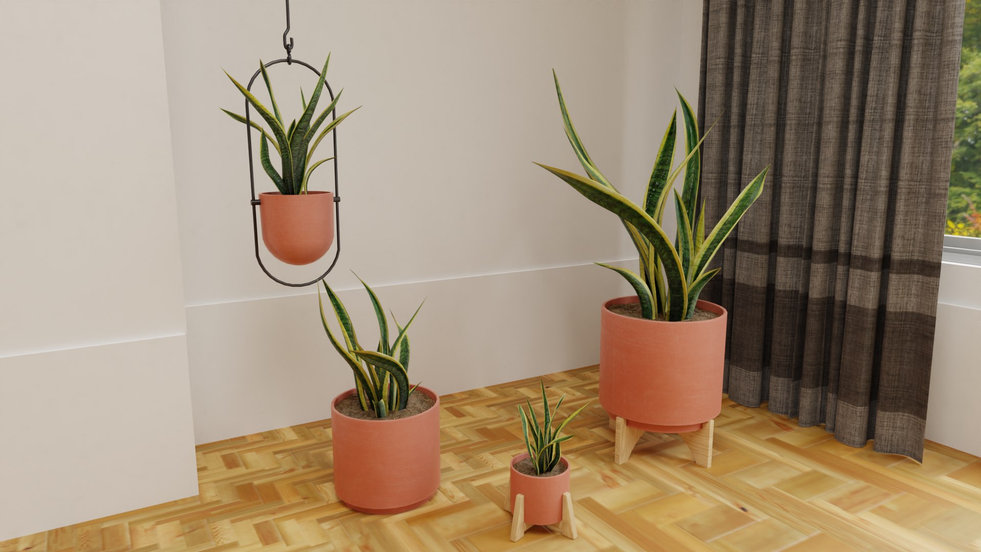 Snake Plants Collection  Plants Vol 01 3D model https://p.turbosquid.com/ts-thumb/cC/hONkB2/ng/5/png/1654602187/1920x1080/fit_q87/4b431eb8d77cc26c324a2d75cd11dec2bc069709/5.jpg