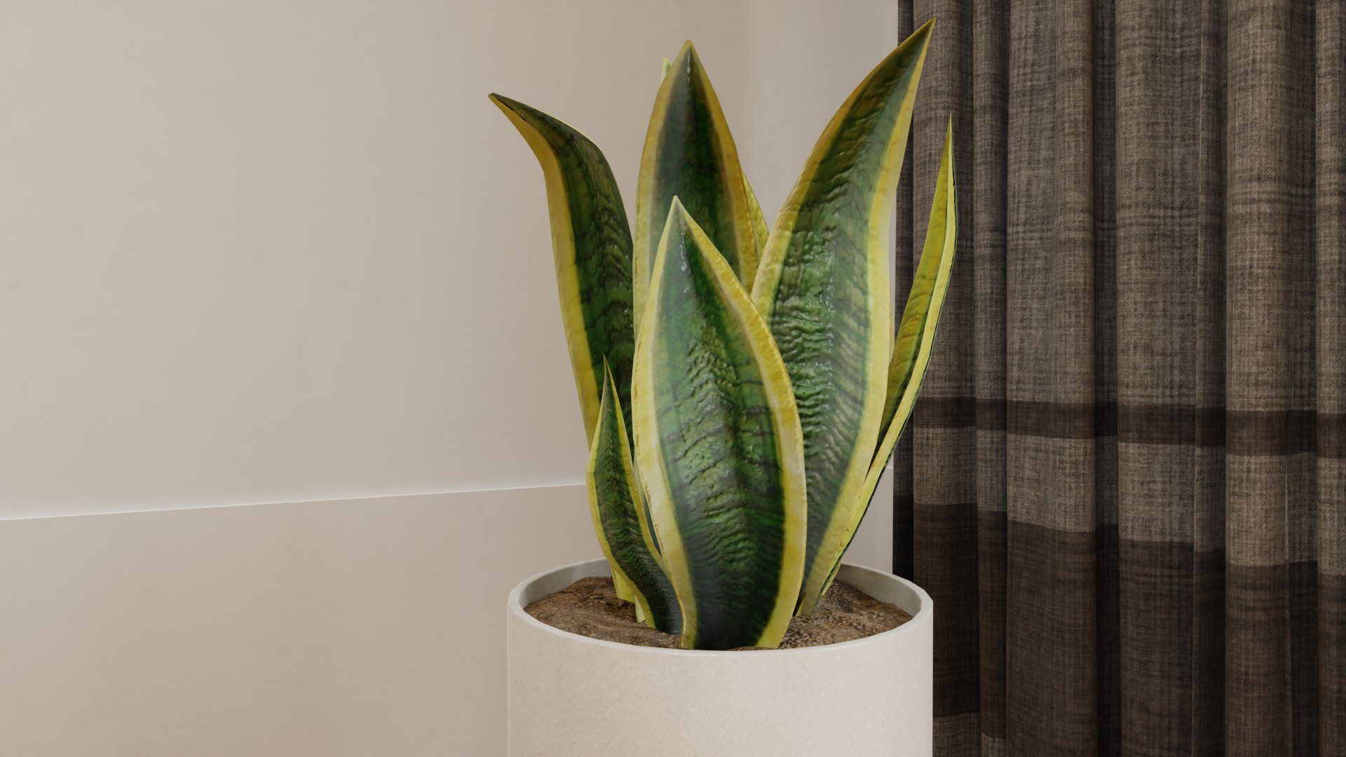 Snake Plants Collection  Plants Vol 01 3D model https://p.turbosquid.com/ts-thumb/cC/hONkB2/oH/11/png/1654602186/1920x1080/fit_q87/88dc4d3bb96168518776ecf92719770611038c2d/11.jpg