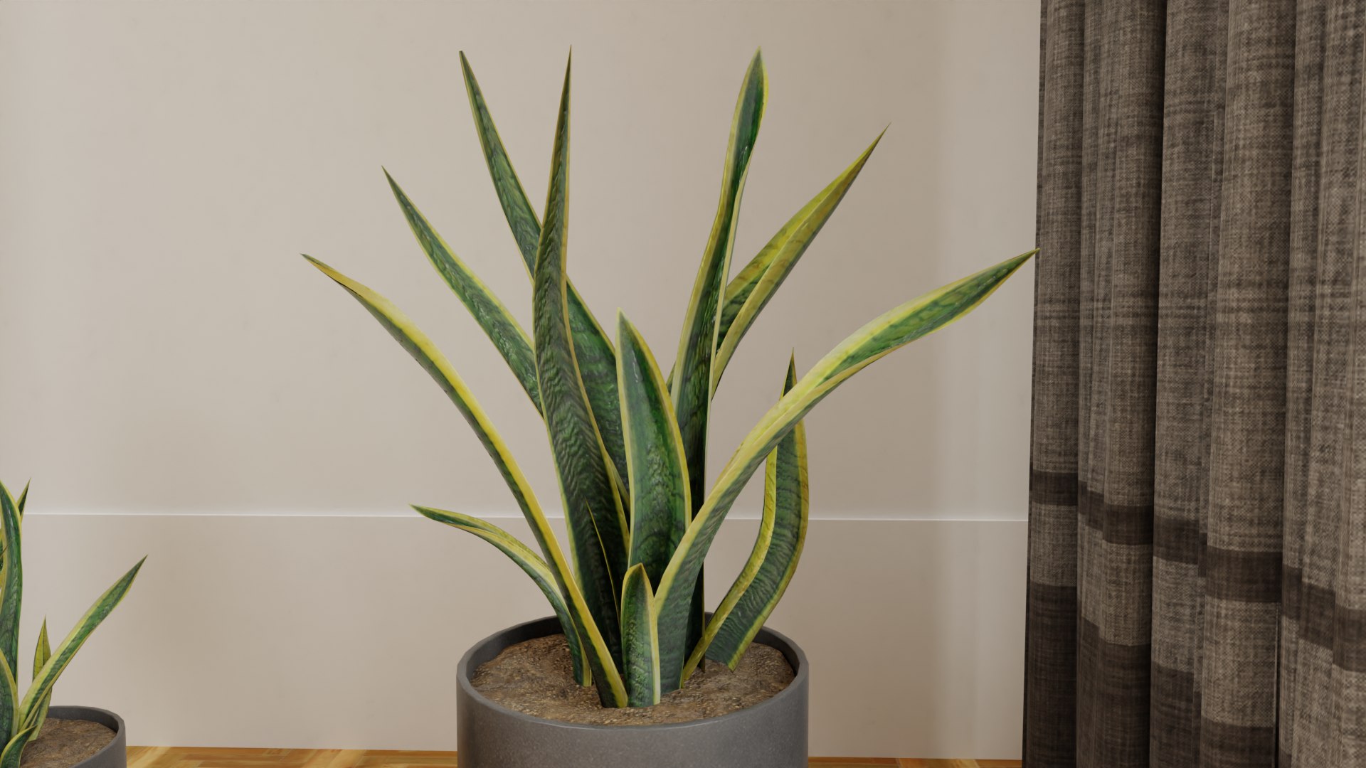 Snake Plants Collection  Plants Vol 01 3D model https://p.turbosquid.com/ts-thumb/cC/hONkB2/rC/7/png/1654602185/1920x1080/fit_q87/74a8f884629a5e61d150312a76a141050b8b1e23/7.jpg