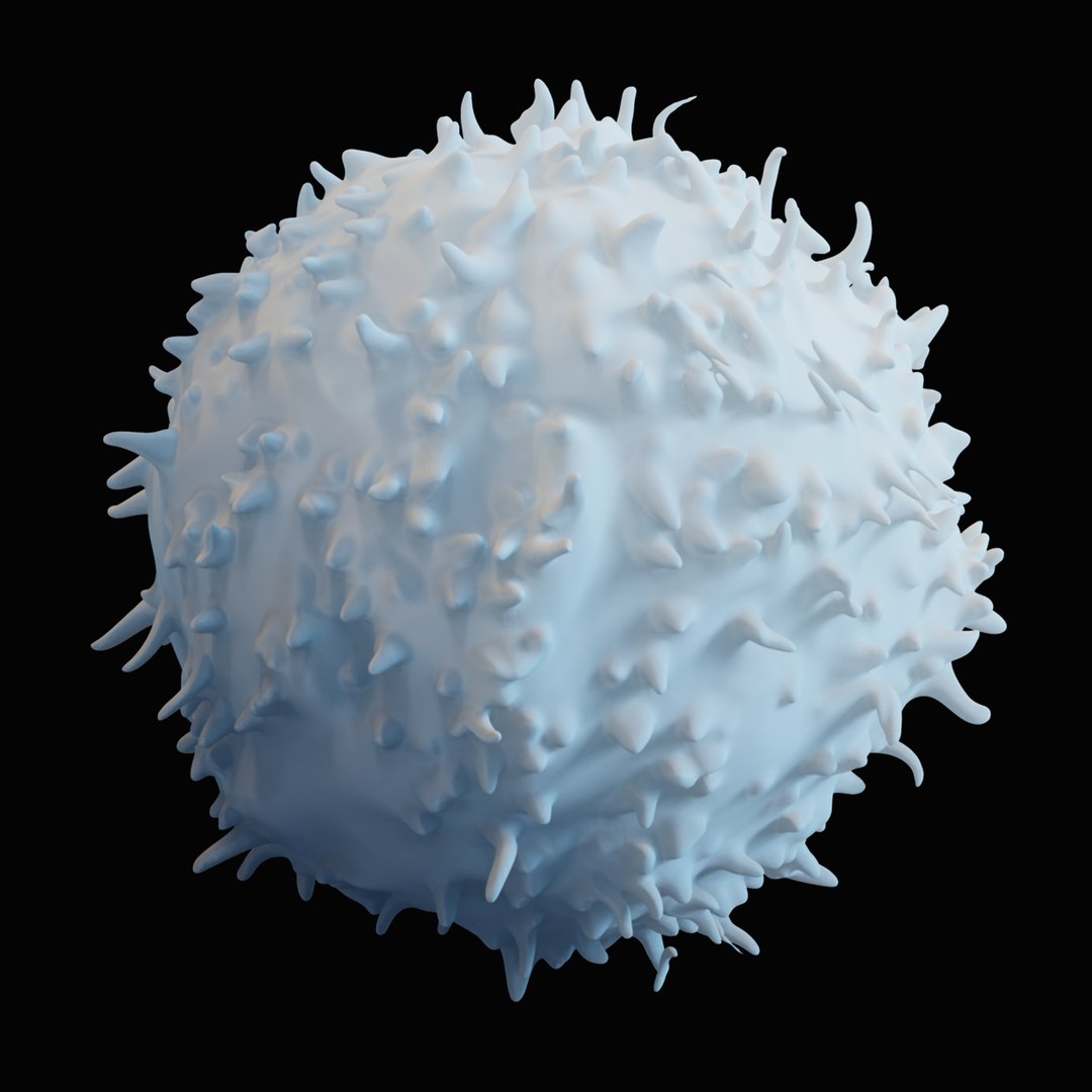 3D Model Lymphocyte Blood Cells - TurboSquid 1494158