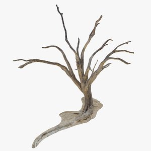 Namibian Dry Tree 06 - Scan 3D