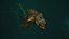 Monstro de Peixe - Peixe Corcunda
